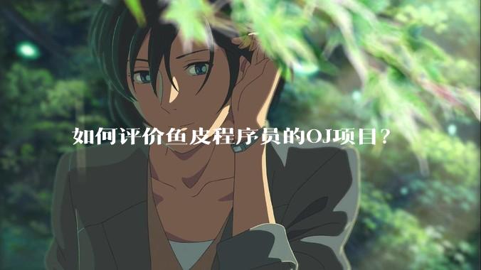 如何评价鱼皮程序员的OJ项目？