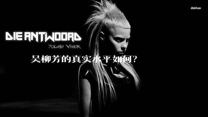 吴柳芳的真实水平如何？