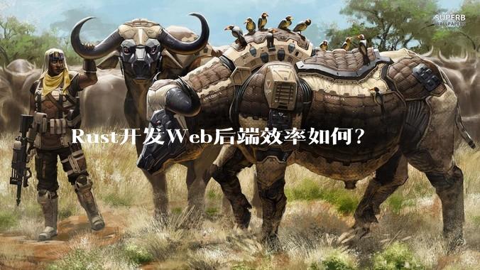 Rust开发Web后端效率如何？